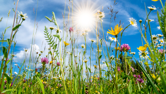 En sommerhilsen fra FOA Århus